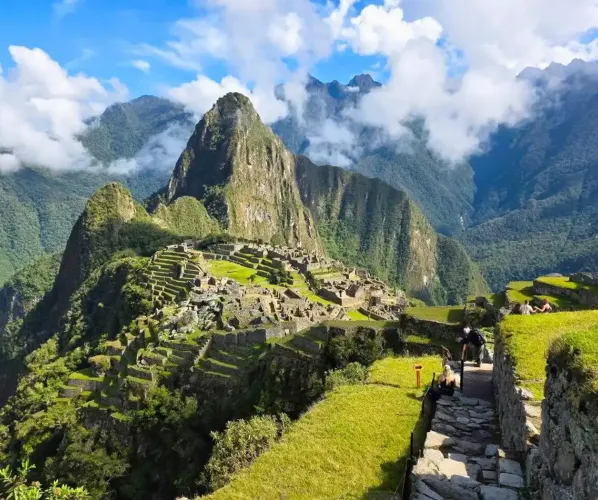 An exclusive, personalized private trek on the historic Inca Trail An imposing view of the original stone-paved Inca Trail as it disappears around a steep mountain curve. Llama and other ancient agricultural terraces are visible, illustrating the path of the Inca royalty.