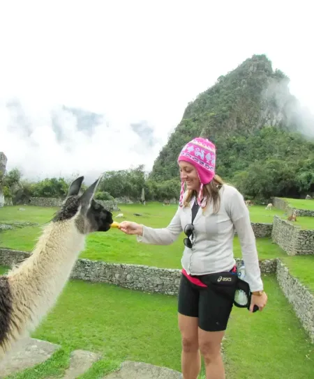 Llama Inca Jungle Adventure Llama Inca Jungle Adventure